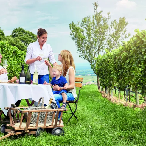 Eine fröhliche Gruppe von Menschen sitzt an einem Tisch inmitten von Weinreben. Sie genießen Essen und Wein in einer idyllischen Landschaft.