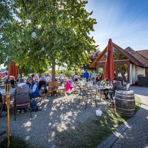 Ein einladendes Restaurant im Freien mit vielen Gästen. Die sonnige Atmosphäre wird von grünen Bäumen und gemütlichen Tischen geprägt.