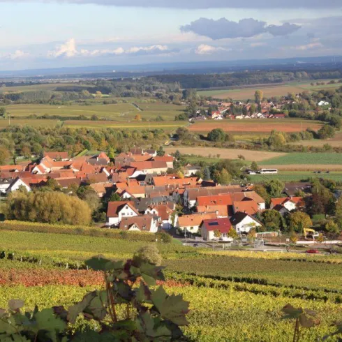 Blick auf Pleisweiler (© Archiv Tourismusverein SÜW Bad Bergzabern e.V.)