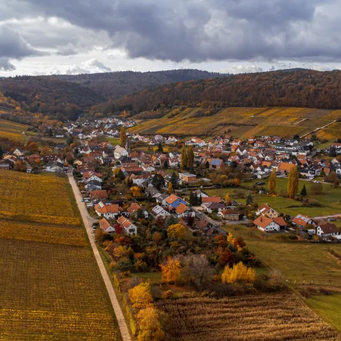 Eine malerische Landschaft mit sanften Hügeln und Weinbergen. Im Vordergrund liegt ein kleines Dorf umgeben von herbstlich gefärbten Feldern.