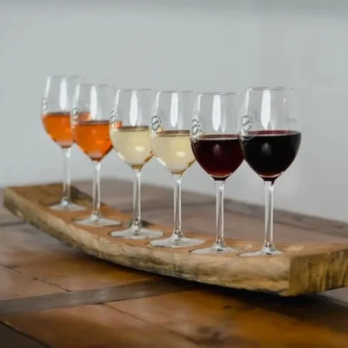 Sechs Weingläser auf einem Holzteller, gefüllt mit verschiedenen Weinsorten. Die Gläser präsentieren eine Farbpalette von Rosé bis Rotwein.