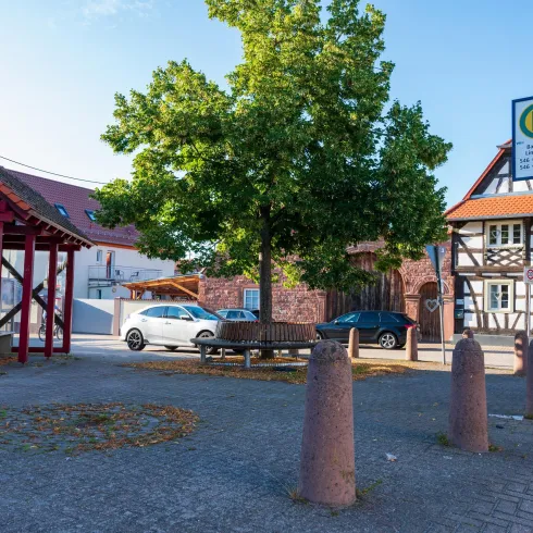 Ein Platz mit einem großen Baum und mehreren Hochständen. Im Hintergrund sieht man ein traditionelles Gebäude und Parkmöglichkeiten für Autos.