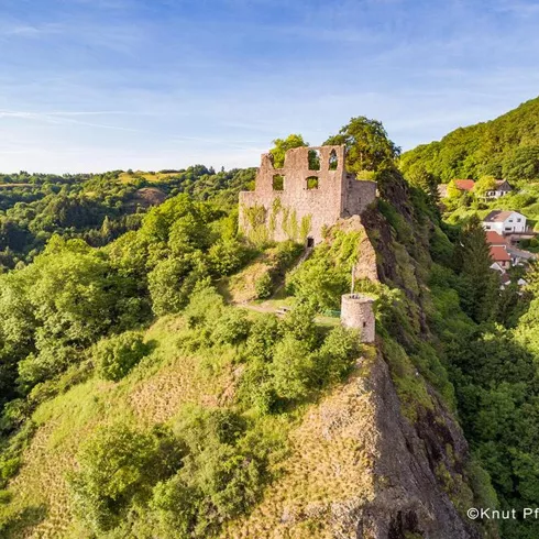 Blick auf die Burgruine Falkenstein (© Pfalz.Touristik e. V., Knut Pflaumer) Blick auf die Burgruine Falkenstein (© Pfalz.Touristik e. V., Knut Pflaumer)