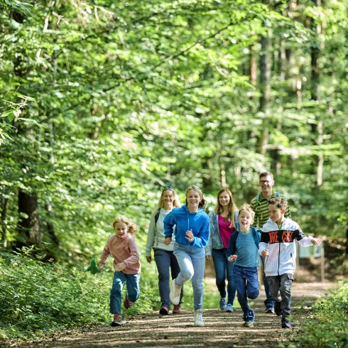 Eine Gruppe von Kindern und Erwachsenen rennt fröhlich einen Waldweg entlang. Umgeben von grünen Bäumen und pflanzen, strahlt die Szene Freude und Aktivität aus.