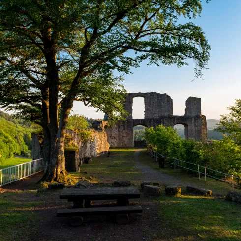 Burgruine Falkenstein