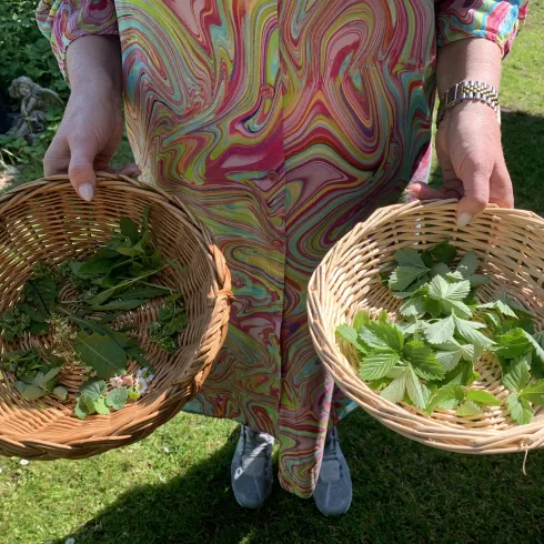 Ach, du grüne Neune (© Kerstin Mehne)