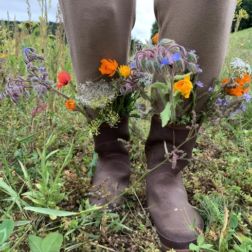 Kräuterspaziergang Falkenstein (© Kerstin Mehne)