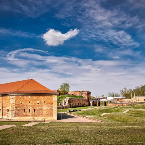 Fronte Lamotte-©Britta Hoff-4298