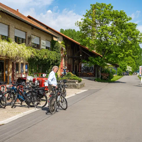 Ein gemütlicher Radweg neben einem Gebäude mit Pflanzen und einer großen Terrasse. Mehrere Fahrräder sind abgestellt, und der Himmel ist klar und blau.