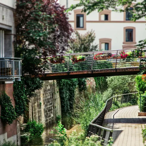 Eine malerische Brücke verbindet zwei Ufer über einen ruhigen Kanal. Umgeben von grünem Pflanzenbewuchs und hübschen Blumen sorgt die Szene für eine entspannende Atmosphäre.