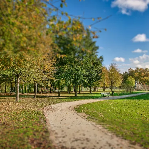 Sollachsee-Discgolf-Anlage-©Britta Hoff-0985