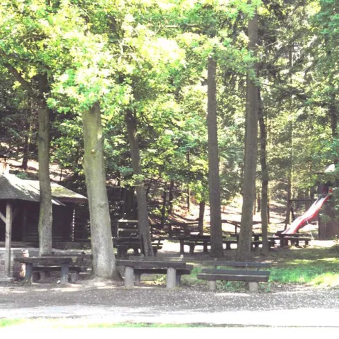 Ein ruhiger Waldspielplatz mit einem Grillplatz und mehreren Sitzgelegenheiten. Im Hintergrund ist eine Rutsche sichtbar, umgeben von Bäumen.