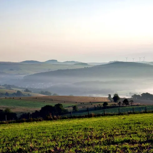 Blick in Richtung Olsbrücken (© Tourist-Info Otterbach-Otterberg)