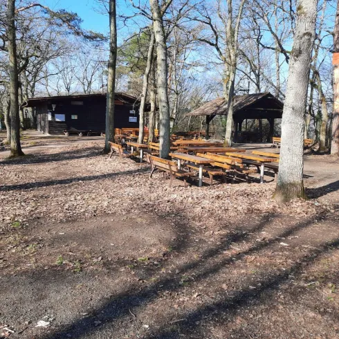 36fe2930-f196-4446-8aac-321ecf81b956