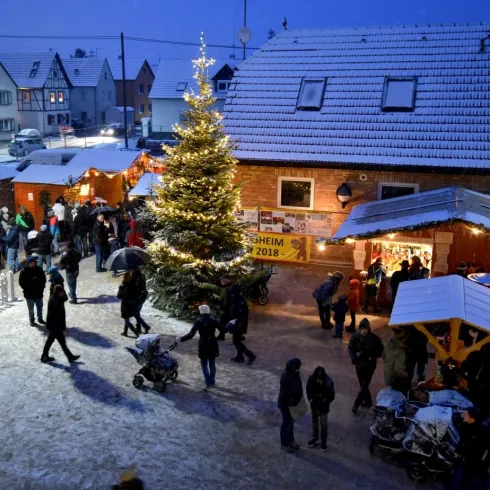 Martinusmarkt in Ottersheim (© CC BY-NC-ND Gemeinde Ottersheim)
