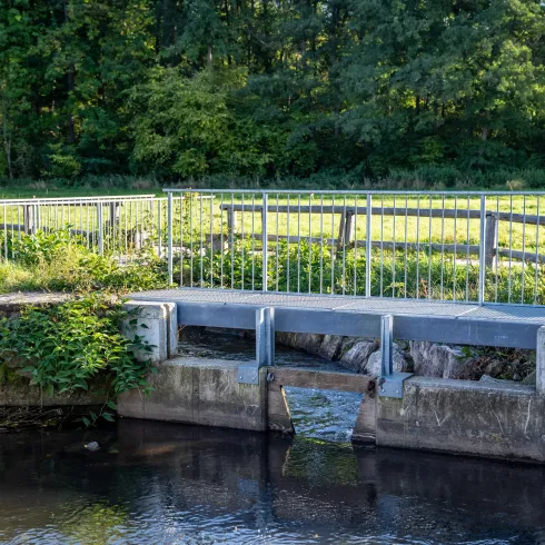Ein kleiner Wasserlauf mit einem Abfluss und einem Geländer. Umgeben von grünem Gras und Bäumen im Hintergrund.