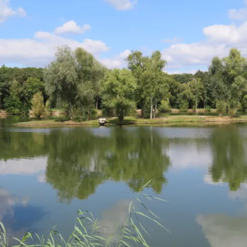 Bärenweiher