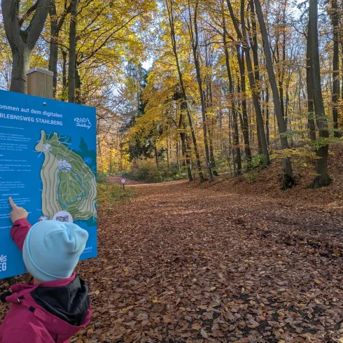 Ein Kind steht vor einem Informationsschild im Wald und zeigt darauf. Der Weg ist von buntem Laub umgeben, und die Bäume haben herbstliche Farben.