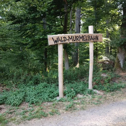 Start der Waldmurmelbahn (© Donnersberg-Touristik-Verband e.V.) Start der Waldmurmelbahn (© Donnersberg-Touristik-Verband e.V.)