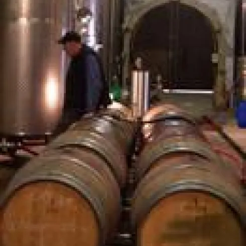 Ein steiniger Weinkeller, hier liegen sechs Weinfässer gereiht hintereinander auf dem Boden. Im Hintergrund läuft ein Mann.