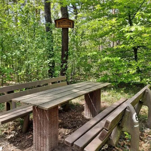 Eine Holzbank mit Holztisch, umgeben von Wald und Bäumen.