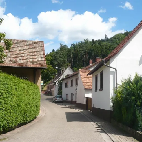 Eine ruhige Straßenszene mit Wohnhäusern und grünen Hecken. Der Himmel ist klar und blau, umgeben von Bäumen.