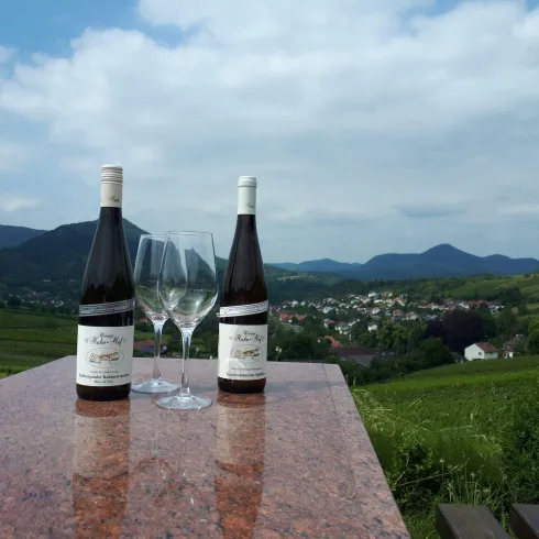 Picknickplatz Albersweiler-St. Johann (© Verein SÜW Annweiler e.V.)