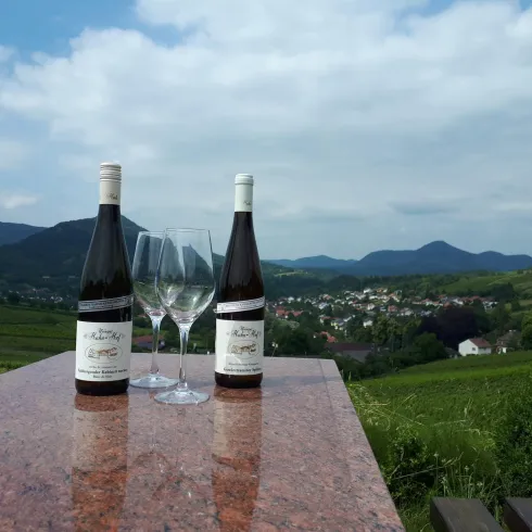 Zwei Weinflaschen stehen auf einem Tisch aus Granit, daneben zwei Weingläser. Im Hintergrund erstrecken sich sanfte Hügel und eine malerische Landschaft.