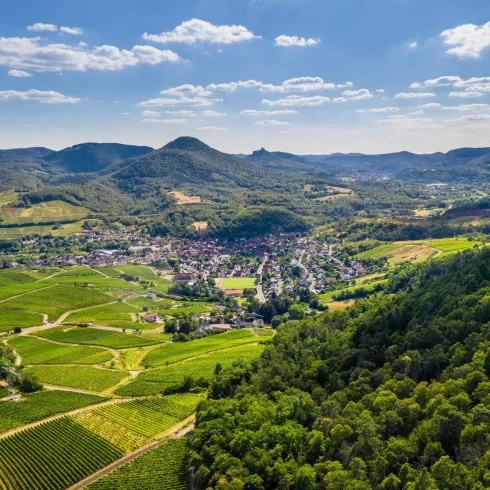 Ausblick auf Albersweiler