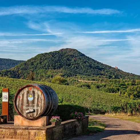 Fass (© Wohlrabe Quadronet, Verein SÜW Annweiler e.V.)