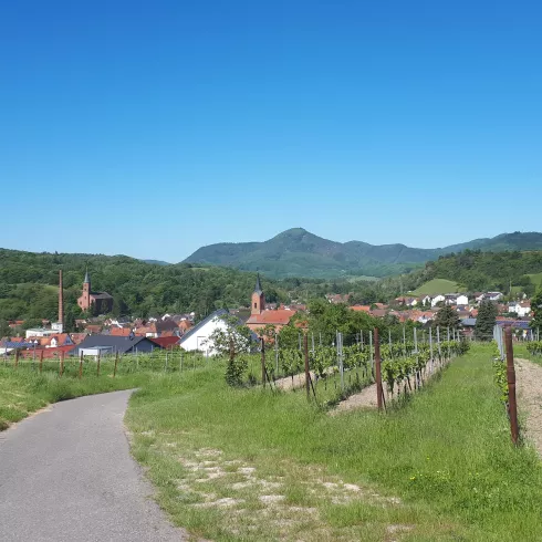 Ortsansicht (© Verein SÜW Annweiler e.V)