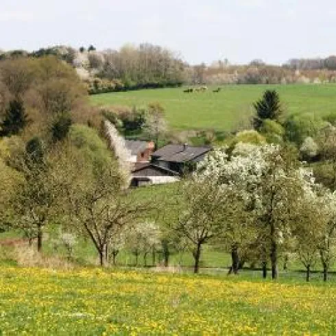 Eine weite, grüne Landschaft mit blühenden Bäumen und sanften Hügeln. Im Hintergrund ist ein kleines Haus zu sehen, umgeben von Natur.