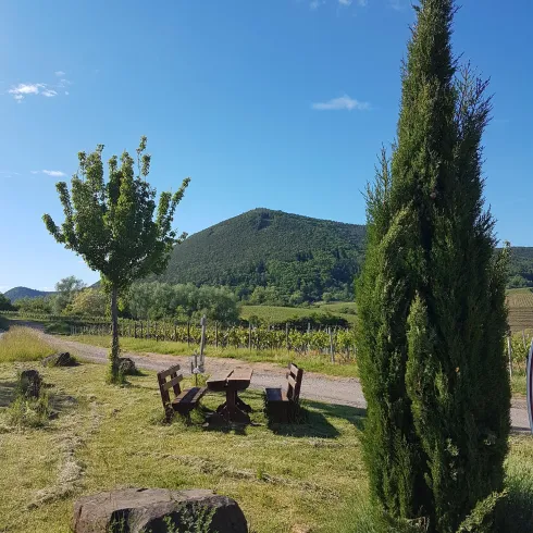 Picknickplatz Altenforst