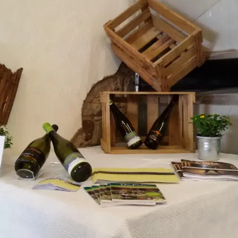 Ein rustikaler Tisch mit Weinflaschen und einem Holzkorb. Darauf liegen auch infomaterialien über Weinanbau.