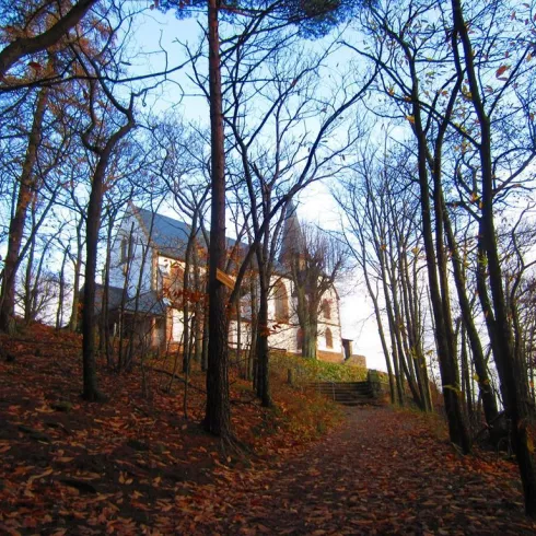 St. Anna Kapelle (© Verein SÜW Edenkoben, T. Kujat)