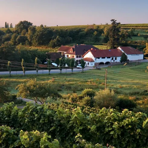 Burrweiler MühleBild_Front_Tourismus (© Burrweiler Mühle, Verein SÜW Edenkoben)