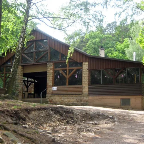 Ein rustikales Gebäude im Wald, umgeben von Bäumen. Große Fenster lassen viel Licht hinein und bieten einen Blick auf die Natur.