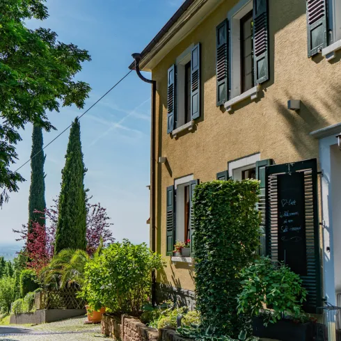 Ein malerisches Haus mit grünen Pflanzen und Bäumen. Die Straße führt sanft zum Gebäude und bietet einen Blick auf die Landschaft im Hintergrund.