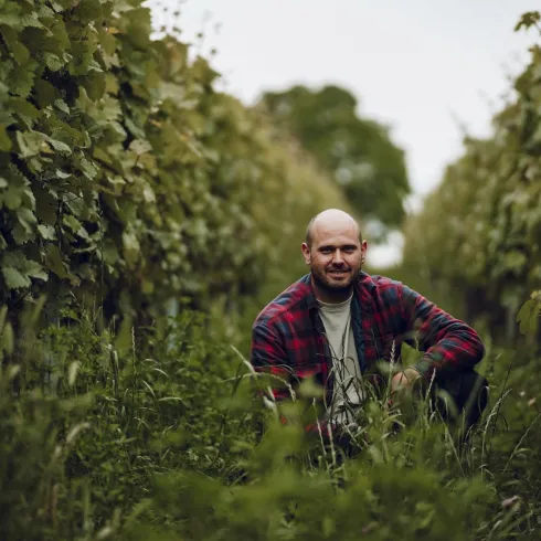 Philipp Müller im Weinberg