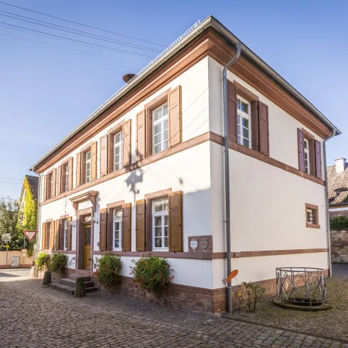 Keinfischlingen (© Verein SÜW Edenkoben, T. Kujat)