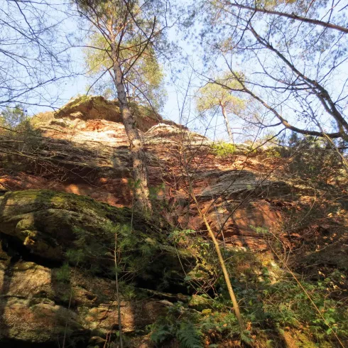 Dretschbergfelsen 01 (© Klaus Burkhart)