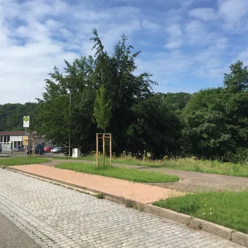 Eine ruhige Straße mit schmalen Bürgersteig und Bäumen. Im Hintergrund sind Gebäude und grüne Wiesen zu sehen.