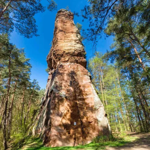 Ein hoher, schmaler Felsvorsprung umgeben von Bäumen. Der klare blaue Himmel sorgt für eine sonnige Atmosphäre.