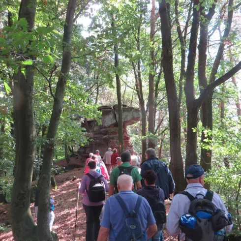 Wanderwoche in Bruchweiler - Dahner Felsenland (© Tourist Information Dahner Felsenland)