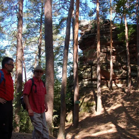 Zwei Wanderer stehen in einem Wald mit hohen Bäumen. Im Hintergrund sieht man eine Felsformation.