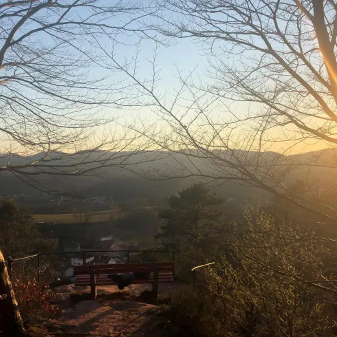 Eine malerische Aussicht auf die Berge bei Sonnenuntergang, umrahmt von blattlosen Bäumen. Das Licht des Sonnenuntergangs schafft eine warme, hügelige Landschaft.