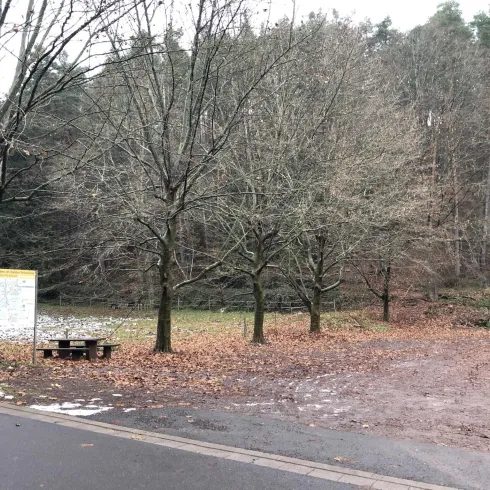 Ein ruhiger Waldweg mit kahlen Bäumen und fallenem Laub. Eine Info-Tafel und eine Sitzgelegenheit sind sichtbar.