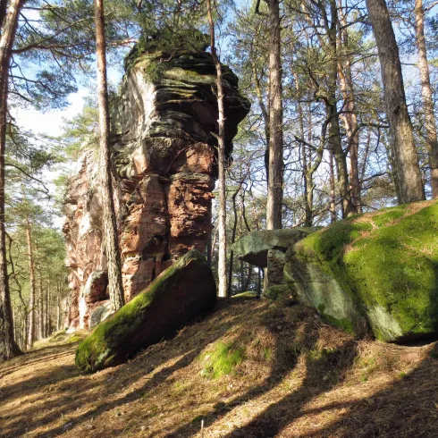 Eine beeindruckende Felsformation in einem Wald mit Moos und Sonnenlicht. Der Boden ist mit Laub und weichem Erdboden bedeckt.