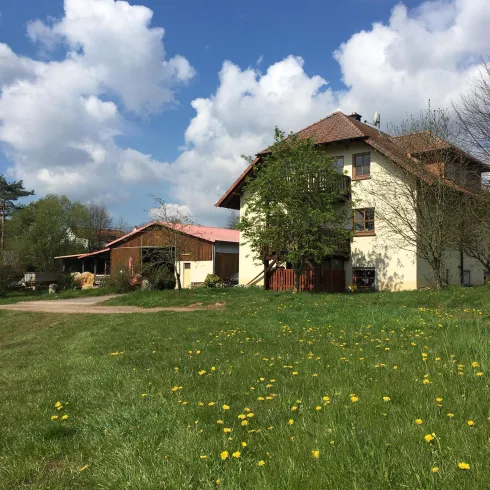 Ein wunderschönes Landhaus umgeben von grünem Gras und bunten Blumen. Der Himmel ist blau mit weißen Wolken.