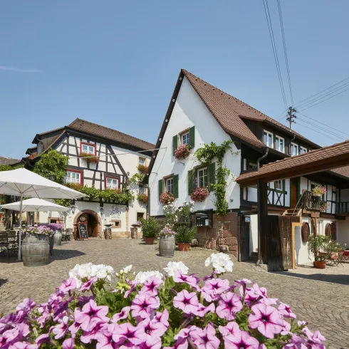 Ein malerischer Innenhof mit traditionellen Fachwerkhäusern und bunten Blumen. Der Himmel ist klar und blau, und es gibt einen Sonnenschirm für Schatten.